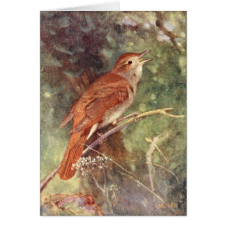 Nightingale Singing Cards