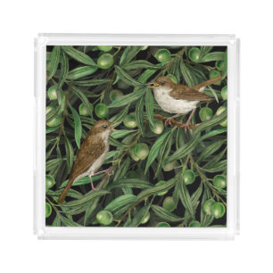 Nightingales in the olive tree 3 acrylic tray
