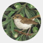 Nightingales in the olive tree 3 classic round sticker