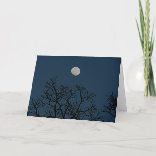 Nights Are Forever A Love Note Holiday Card