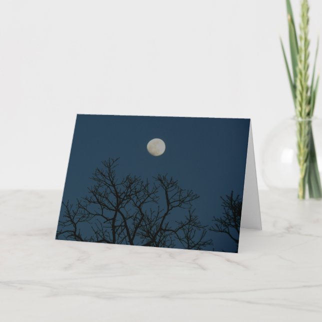 Nights Are Forever: A Love Note Holiday Card (Front)