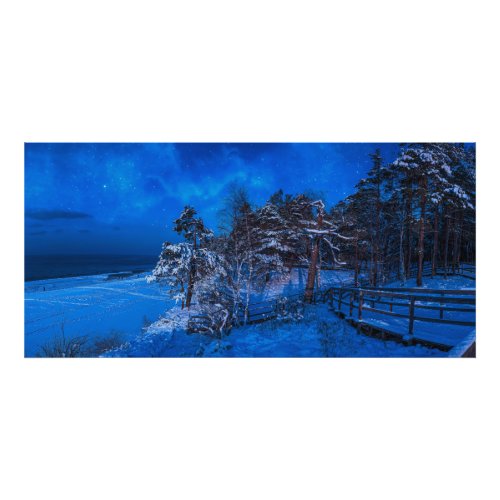 Nighttime winter scene with snow covered pines photo print