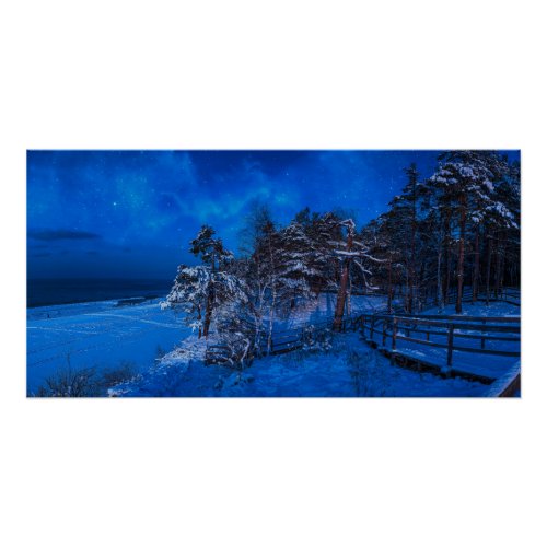 Nighttime winter scene with snow covered pines poster