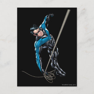 Nightwing with rope postcard