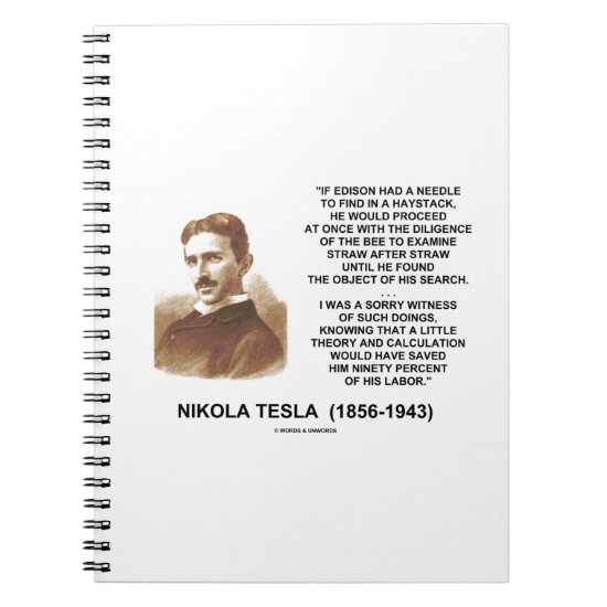 Nikola Tesla Needle In Haystack Theory Calculation Notebook