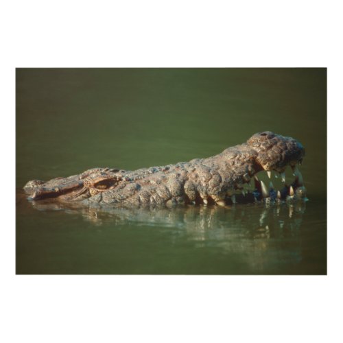 Nile Crocodile Crocodylus Niloticus Wood Wall Art