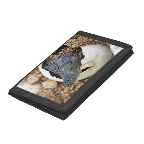 Nile Crocodile Hatchling Emerging From Egg Trifold Wallet