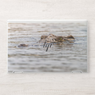 Nile Crocodile HP Laptop Skin