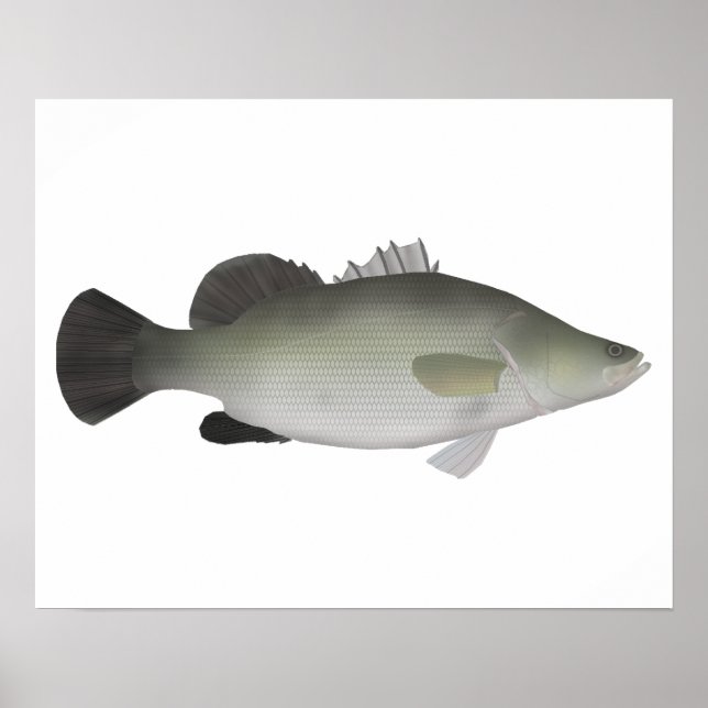 Nile Perch Poster (Front)