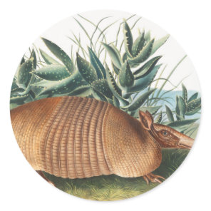 Nine-banded Armadillo (Dasypus Peba) Illustration Classic Round Sticker