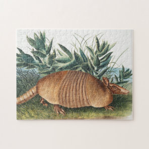 Nine-banded Armadillo (Dasypus Peba) Illustration Jigsaw Puzzle