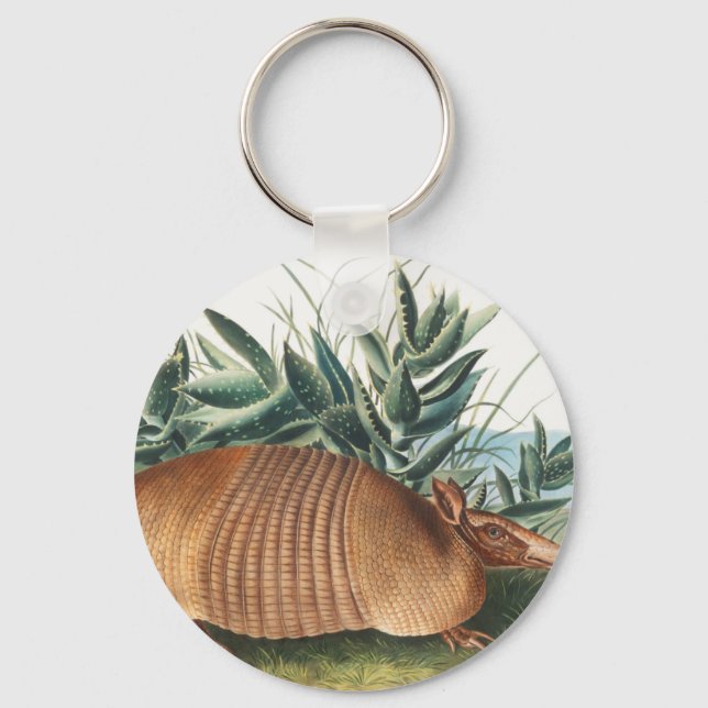 Nine-banded Armadillo (Dasypus Peba) Illustration Keychain (Front)