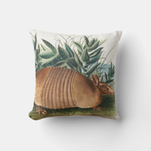 Nine-banded Armadillo (Dasypus Peba) Illustration Throw Pillow