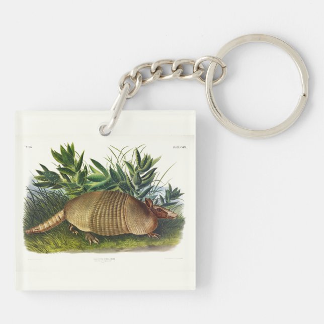 Nine-Banded, Long-nosed Armadillo by Audubon Keychain (Back)