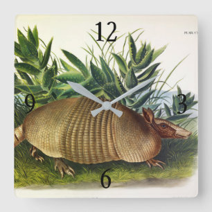 Nine-Banded, Long-nosed Armadillo by Audubon Square Wall Clock