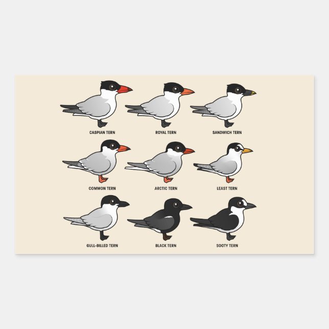 Nine Birdorable Terns (labeled) Rectangular Sticker (Front)