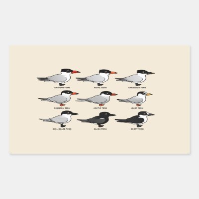 Nine Birdorable Terns (labeled) Rectangular Sticker