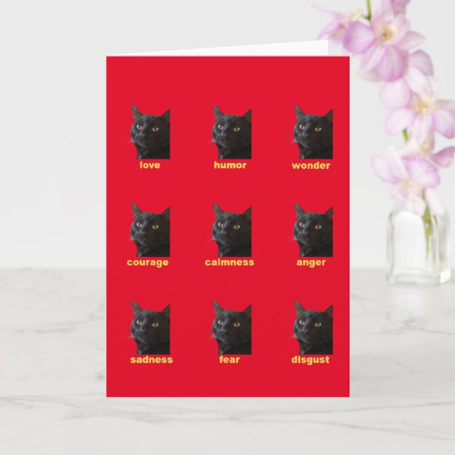 Nine Emotions Of My Cat Vector Cut Out Card (Orchid)