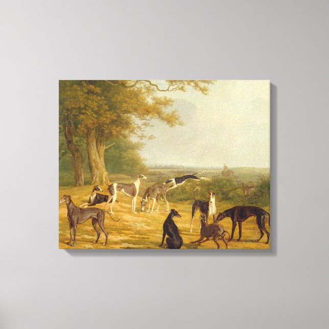 Nine Greyhounds in a Landscape (oil on canvas) Canvas Print (Front)