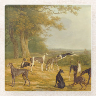 Nine Greyhounds in a Landscape (oil on canvas) Glass Coaster