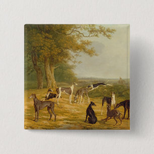 Nine Greyhounds in a Landscape (oil on canvas) Pinback Button
