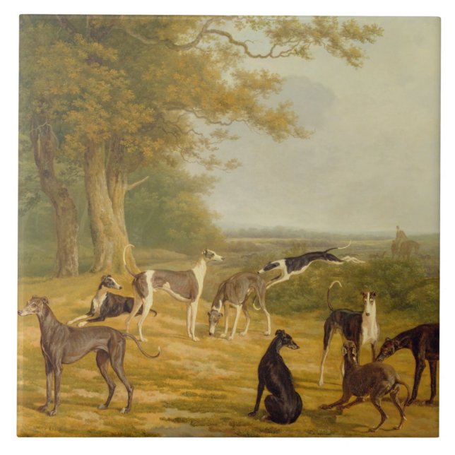 Nine Greyhounds in a Landscape (oil on canvas) Tile (Front)