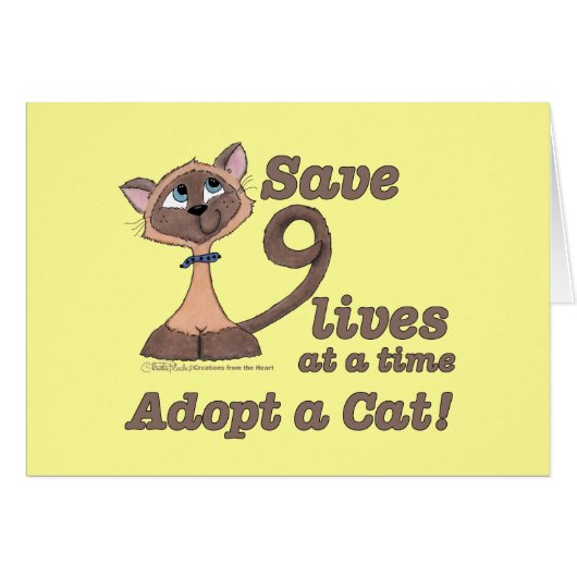 Nine Lives Cards (Front Horizontal)