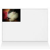 Nine Lives Love Commitment (Inside Horizontal (Top))