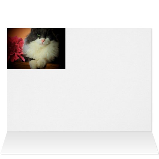 Nine Lives Love Commitment (Inside Horizontal (Top))