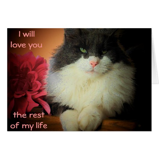 Nine Lives Love Commitment Cards (Front Horizontal)
