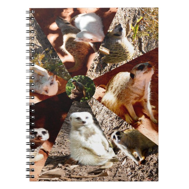 Nine Meerkat Triangles, Notebook (Front)