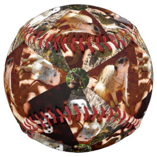 Nine Meerkats Collage, Softball