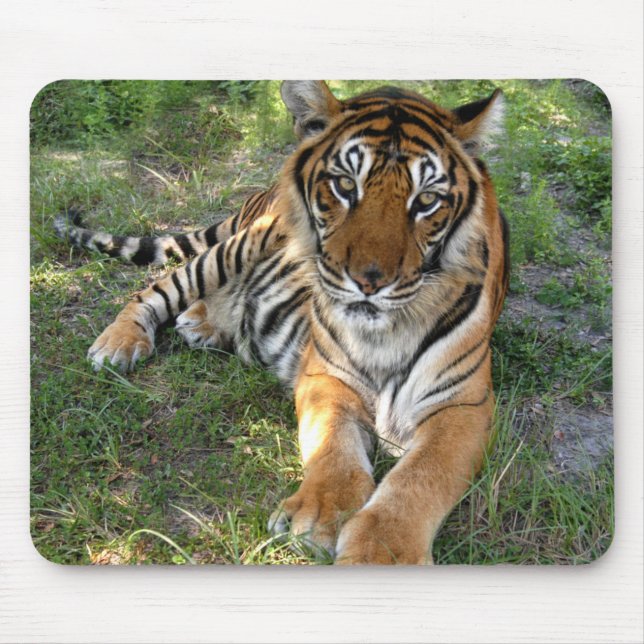 nini 005 mouse pad (Front)