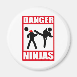 Ninja Academy Okinawa Kill Bill Magnet