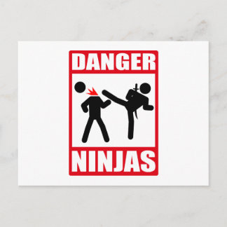 Ninja Academy Okinawa Kill Bill Postcard