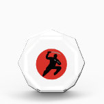 Ninja Acrylic Award<br><div class="desc">I'm a ninja! I like swords and knives and stuff like that.</div>