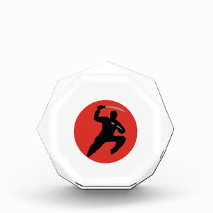 Ninja Acrylic Award