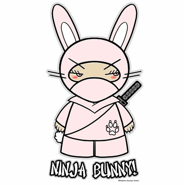 Ninja Bunny! Photo Sculpture (Front)