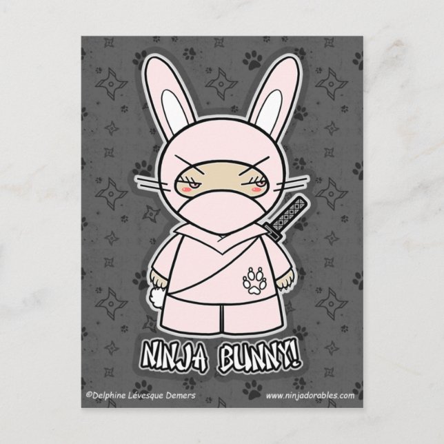 Ninja Bunny! Postcard (Front)