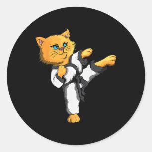 Ninja Cat Karate Martial Arts Taekwondo Cat Owner Classic Round Sticker