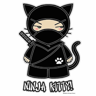 Ninja Kitty! Photo Sculpture