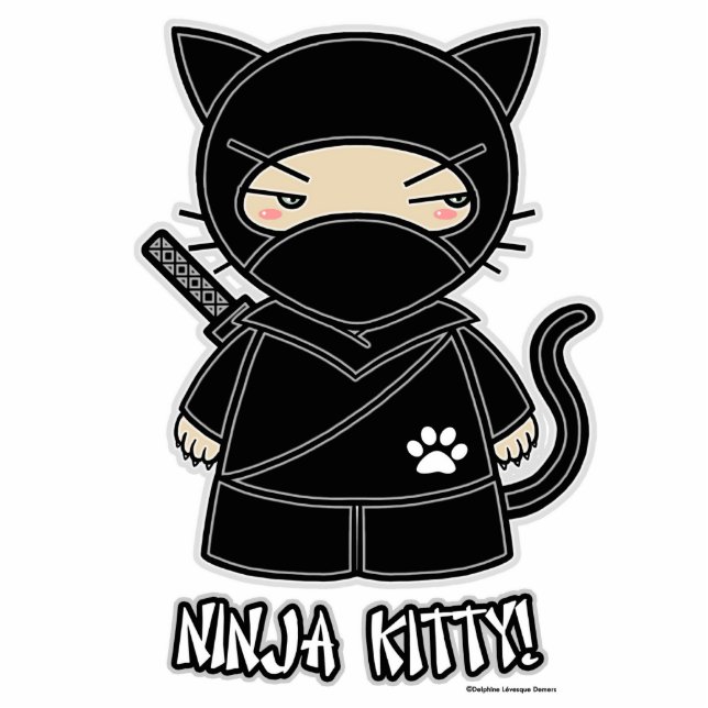 Ninja Kitty! Photo Sculpture (Front)