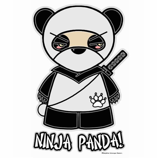 baby ninja panda