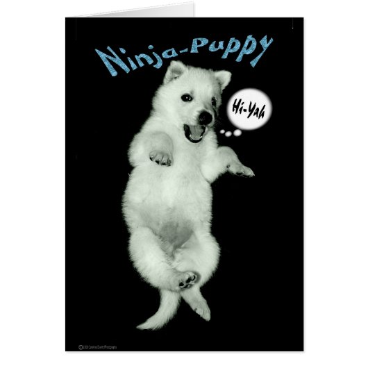 Ninja Puppy Cards (Front)