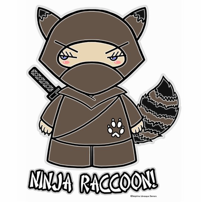 Ninja Raccoon! Photo Sculpture (Front)