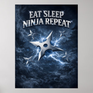 Ninja Shadow Ice Strike Poster