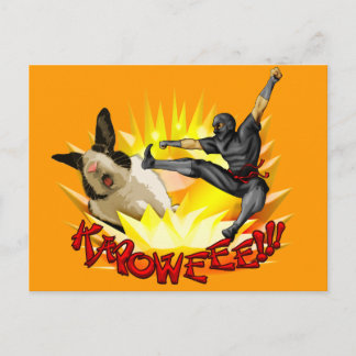 Ninja vs. Bunny Postcard(?!?) Postcard