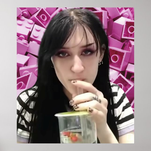 Ninjagobabe2001 Poster (Front)