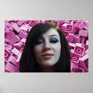 Ninjagobabe2001 Poster