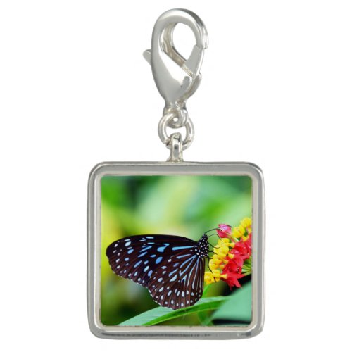 Ninth Wings Of Wonder Charm